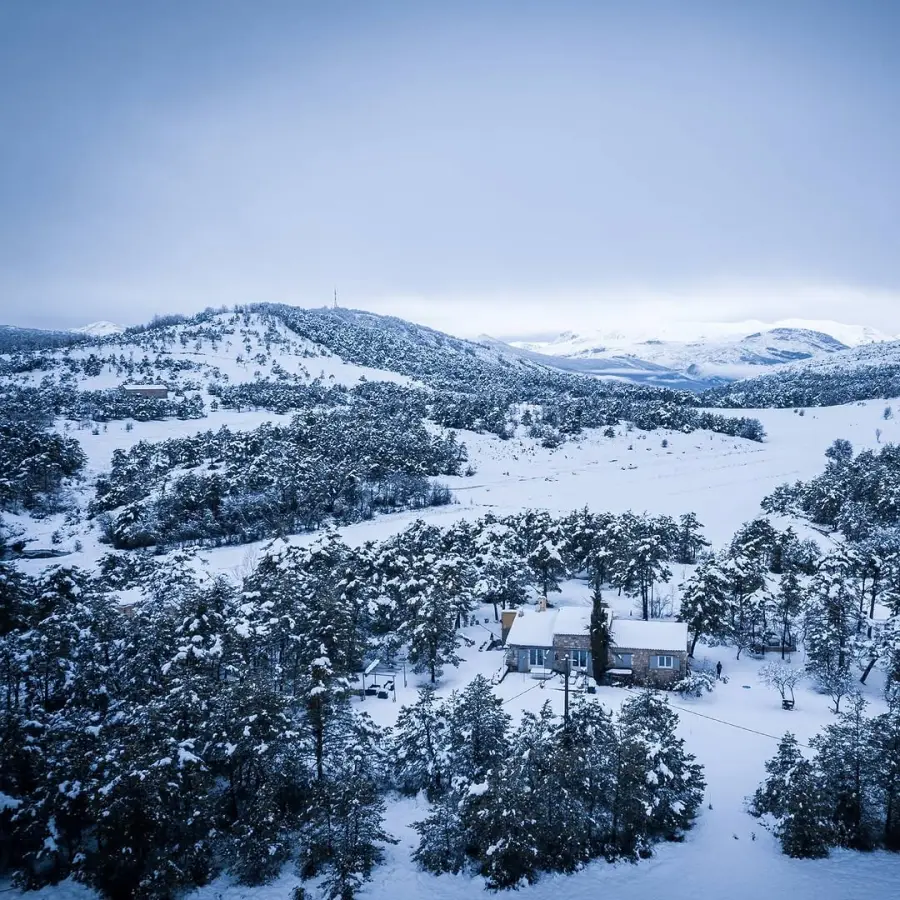 Forêt et collines sous la neige dans l'arrière-pays, vue par drone